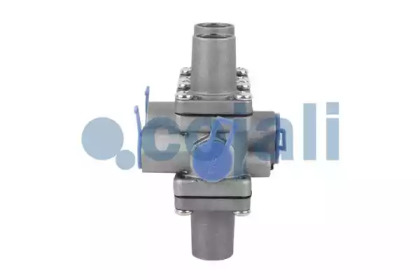 cojali 2222246