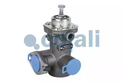 COJALI 2223116