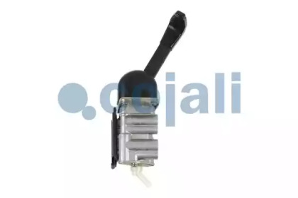 cojali 2224401