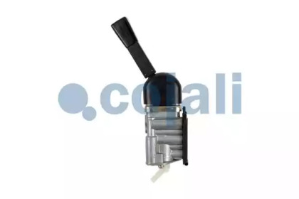 cojali 2224401