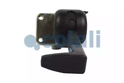 cojali 2224401