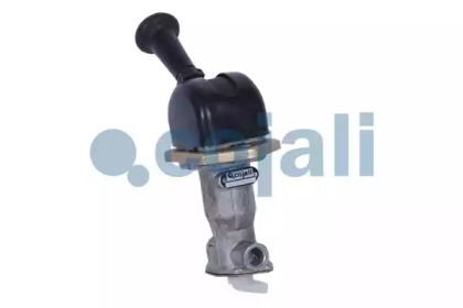 COJALI 2224406