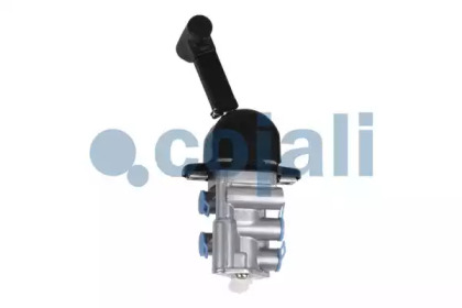 COJALI 2224417