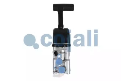 cojali 2224417