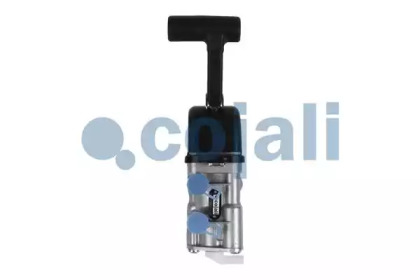 cojali 2224417