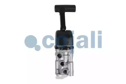 cojali 2224417