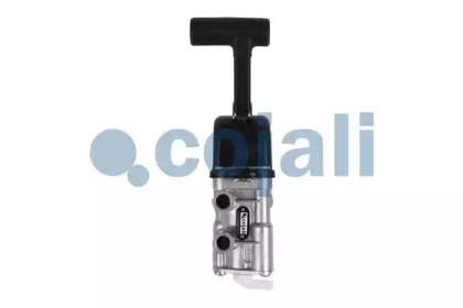 cojali 2224417
