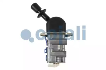 cojali 2224435