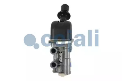 cojali 2224435