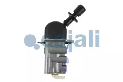 cojali 2224435