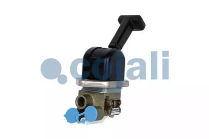 cojali 2224503