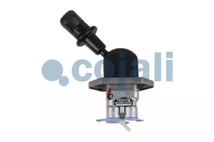 COJALI 2224529