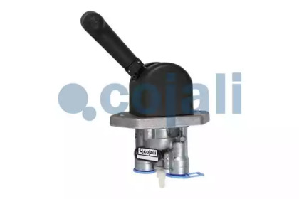 COJALI 2224558