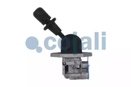 COJALI 2224563