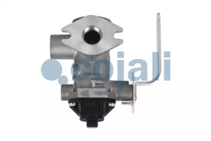 cojali 2225102