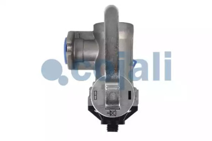 cojali 2225102
