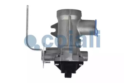 cojali 2225102