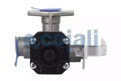 cojali 2225102