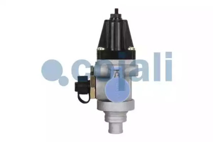 cojali 2228252