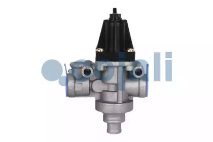cojali 2228252