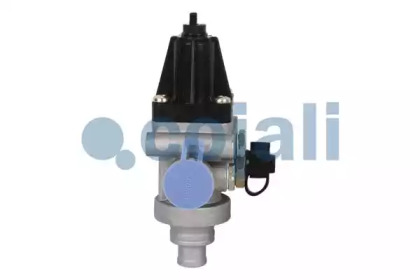 cojali 2228252