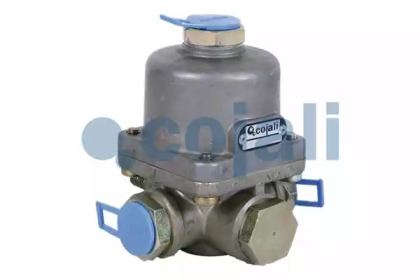 COJALI 2229204