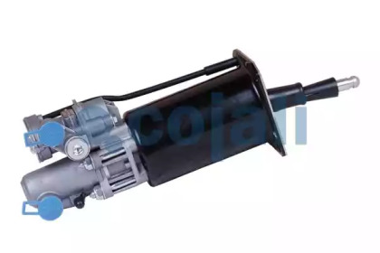 COJALI 2250211