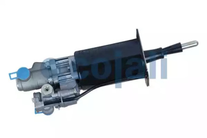 cojali 2250214