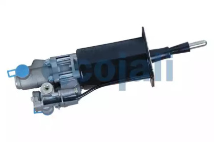cojali 2250214