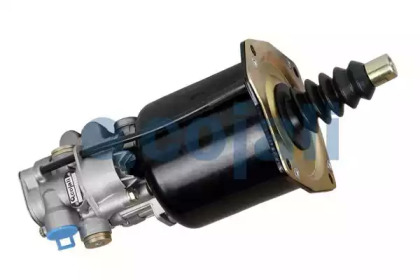 COJALI 2250236