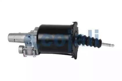 cojali 2250243