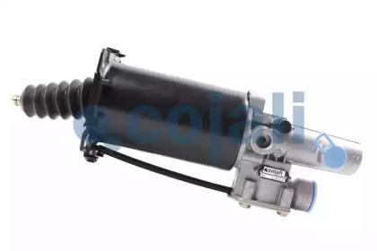 COJALI 2250276