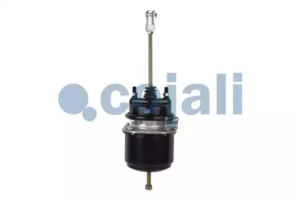 cojali 2251406