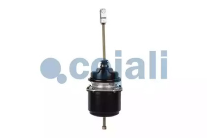 cojali 2251406