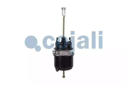 cojali 2251406