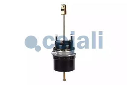 cojali 2251500