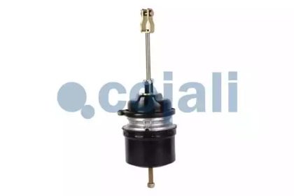 cojali 2251500