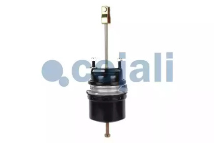 cojali 2251500