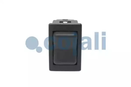 COJALI 2260165