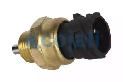COJALI 2260220