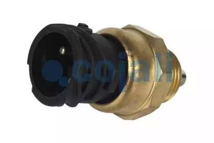 cojali 2260220