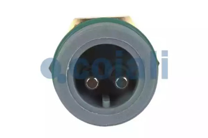 cojali 2260408