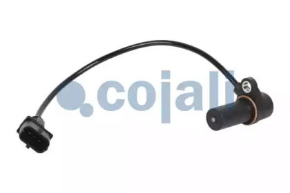 COJALI 2260494