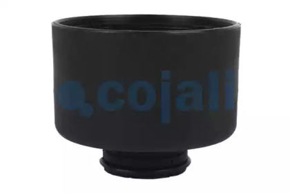COJALI 2310001