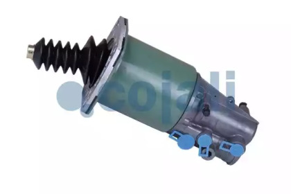 COJALI 2350107