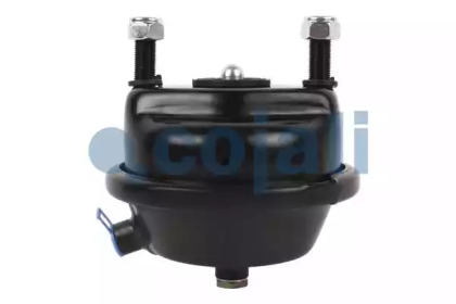 cojali 2351307