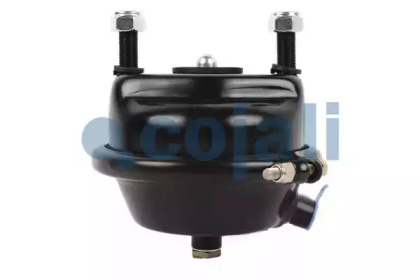 cojali 2351307