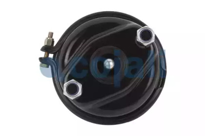 cojali 2351307