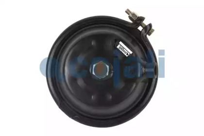 cojali 2351307