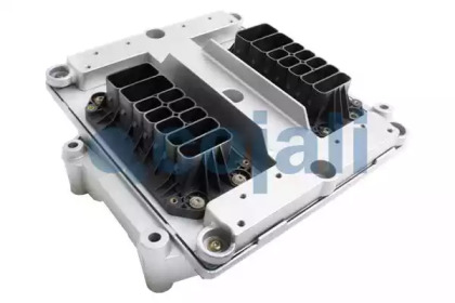 COJALI 350063